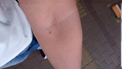 全然まだ残ってる(._.)