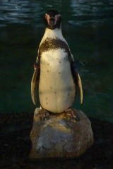 ナイトズー、やっぱり寝てた(笑)