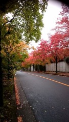 【お題日記】こんなお願いして怒られちゃった