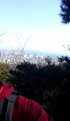 足が・・・・・・