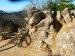 誰が世話してるのか？