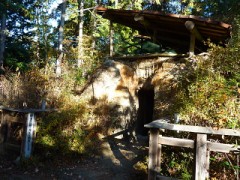 厄を落として運を導く