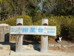 上手く撮れました！(笑)