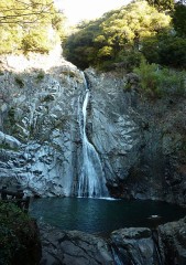 摩耶山(天狗道)