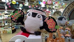 可愛い️️！！