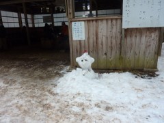 【お題日記】ゴムはどっちがつける？