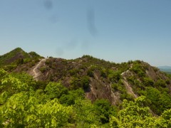 【お題日記】挑戦してみたい事