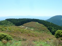 やっぱり柴門ふみが好きなんかな