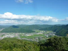 【お題日記】働いてみたい会社