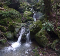 【お題日記】主導権はどちら？