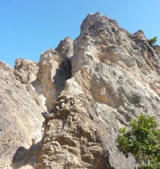 ホント昨日行けば良かった～