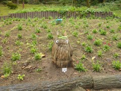 ん・・・・、ト・・・・・トロ？