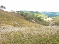 池崎さん、ホント偉いですね。