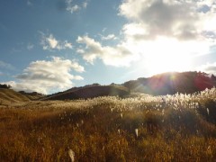 やっぱり新ストーリーは良いね！