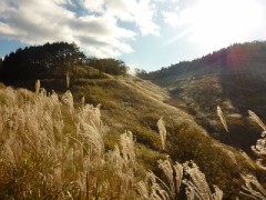 やっぱり年とったのかな。