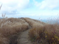【お題日記】これは一生懸命やったなーということは？