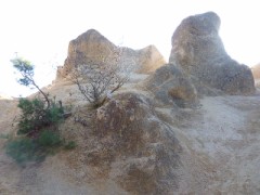 【お題日記】2022年はどんな年だった？