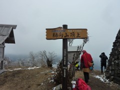 ゲイターいるな～～～。