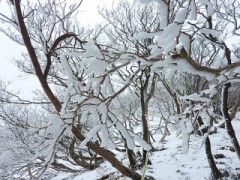 まじかで見たら