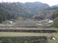 田舎ならではのご馳走