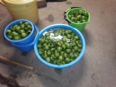 先日の台風で判明したこと