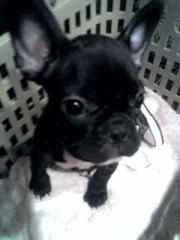 携帯、着信、「通知不可能」パート２