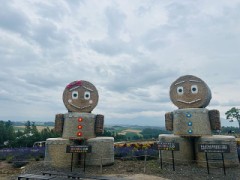 【お題日記】会話に必要なものってなに？