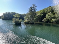 【お題日記】いつも●時に起きてます