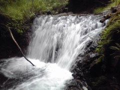 最終日だから…