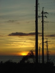 沖縄、今日の一枚！