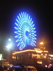 沖縄、今日の一枚！