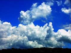 沖縄、今日の一枚！