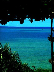 沖縄、今日の一枚！