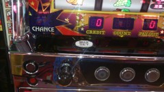 癒しを求めて....