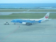 遊び心…