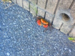 ちょっと前に…