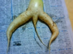 去年のこと
