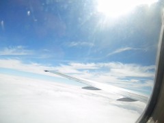 恋しいですね…