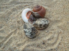 エイプリルフール！嘘をつきましたか？