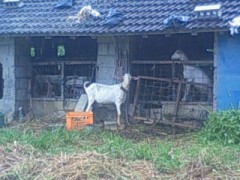 見つけたっ…