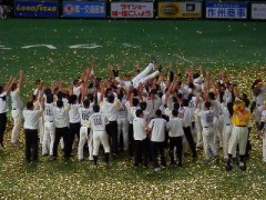 最近の嬉しかったこと