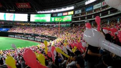 スポーツ観戦行ったことある？