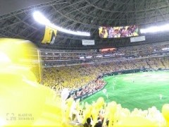 好きなスポーツ