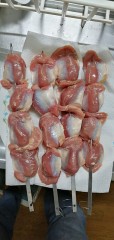 今年の春、出会い…