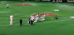 プロ野球セ・パ交流戦
