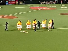 野球好き