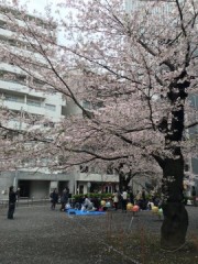 なんとも言えないハスキーボイス