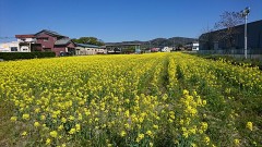 今日もしてきました(笑)