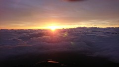 今頃気付いた。めちゃめちゃショック(T＿T)