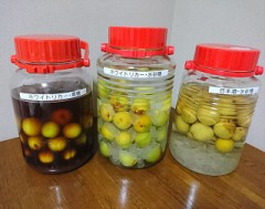 今年の梅酒 No.1